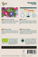 Ipomea Mix Bio - Ipomoea purpurea-2