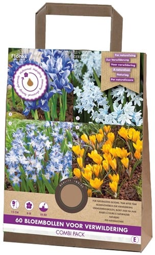 Selezione 60 bulbi da fiori da naturalizzare