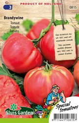 Pomodoro 'Brandywine'