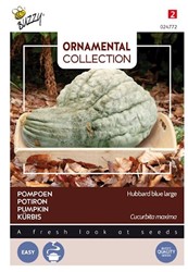 Selezione di Semi Ortaggi Ornamentali: zucca: 'Large Blu Hubbard'