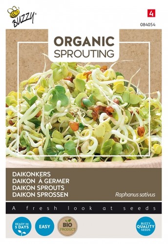 Daikon (ravanello cinese)