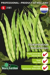 Fagiolo Neckarkönigin - Phaseolus vulgaris