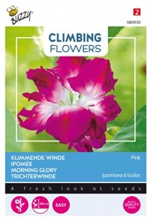 Selezione semi Piante Rampicanti: Ipomoea Nil 'Double Pink'