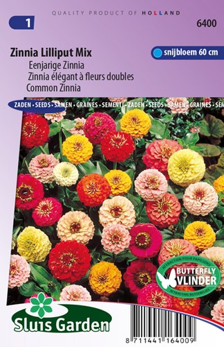Assortimento Zinnia 'Lilliput'