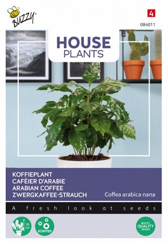 Coffea Arabica, Arabian coffee - Buzzy House Plants