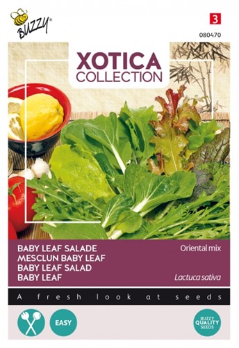 Selezione semi ortaggi dal mondo: Lattuga mix (Lactuca Sativa)
