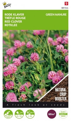 Trifoglio Rosso per Concimazione Verde / 150 gr - 60 m2