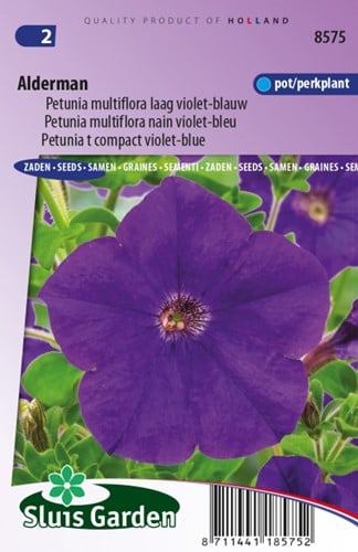 Petunia Multiflora Alderman - Petunia nana compacta