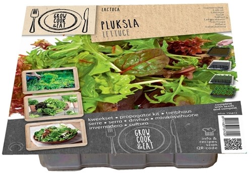 Kit Germinatoio per Lattuga