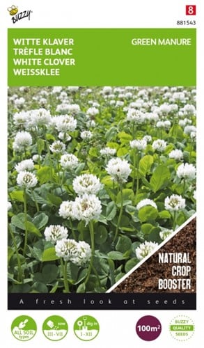 Trifoglio Bianco per Concimazione Verde / 100 gr - 100 m2
