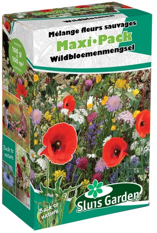 Spargitore miscela sementi da fiore di prato selvatici - Maxi Pack Sluis Garden