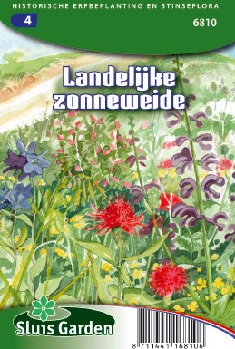 Selezione semi di fiori per campagna soleggiata
