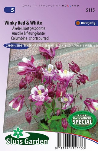 Colombina ‘Winky Red & White’ (Aquilegia)
