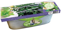 Kit germinatoio Menta Verde