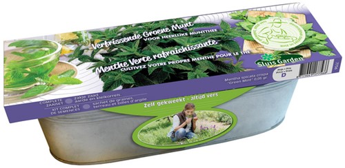 Kit germinatoio Menta Verde