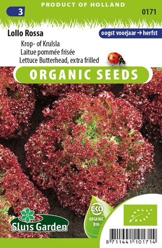 Lattuga Lollo Rossa extra riccia EKO (Semi Biologici)