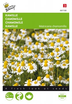 Semi Di Camomilla Batlle | Per Infusi E Uso Medicinale, Altezza 20-40 Cm | Semina Primavera, Fioritura Da Giugno A Settembre