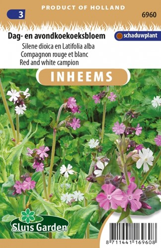 Red and White Campion - Silene