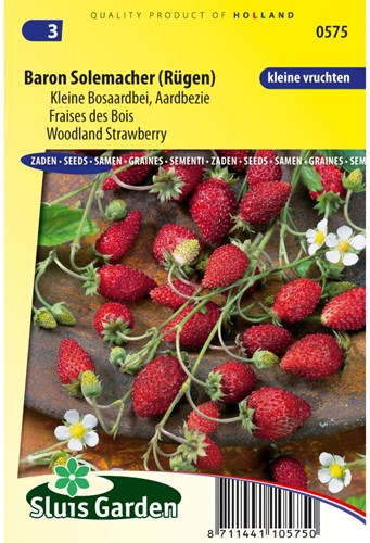 Fragole di bosco Baron Solemacher