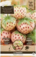 Fragola White Pineberry - Fragaria-2