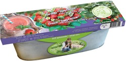 Zinken Teil Aardbei Temptation - Fragaria