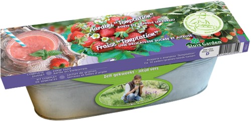 Kit Germinatoio Fragola Temptation - Fragaria