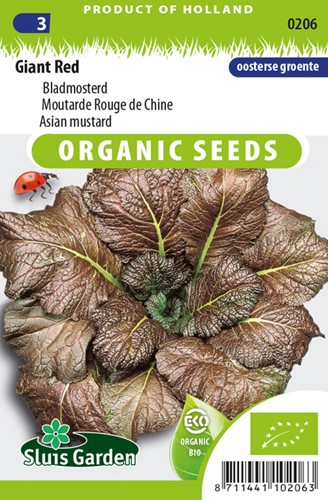 Senape Rossa 'Red Giant' EKO (Semi Biologici)