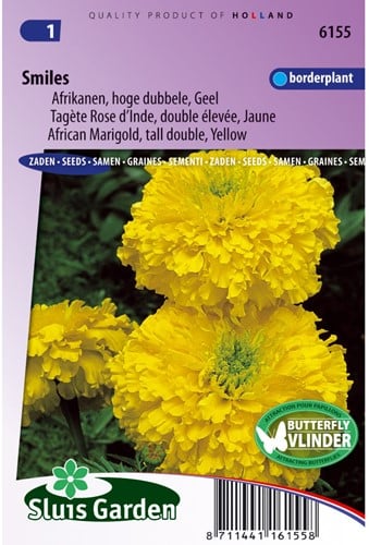 Africano alto Sorrisi Giallo