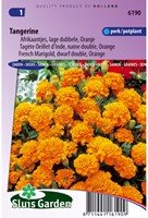 Tagete Tangerine arancione - Tagetes