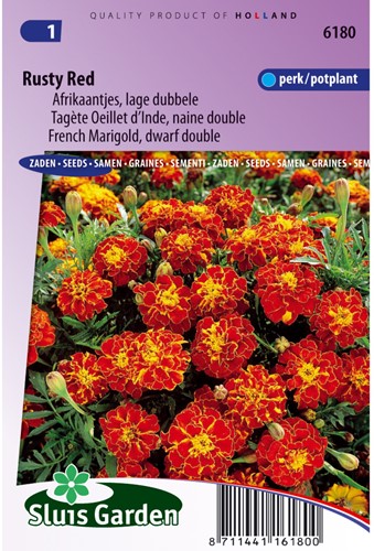 African Rosso Ruggine