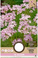 Aglio Ornamentale Allium Roseum (confezione grande)-2