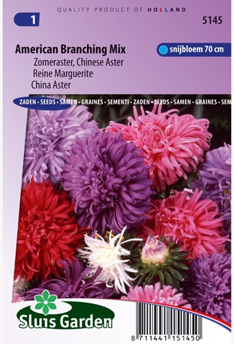 Aster American Branching mix - Callistephus chinensis