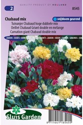 Garofano Chabaud Mix – Dianthus Chabaud