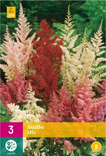 Astilbe Mix