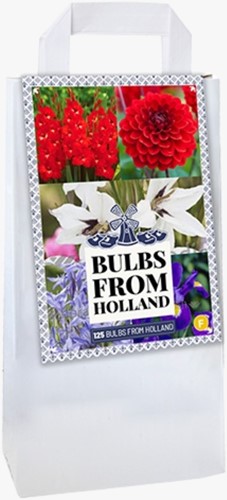 Selezione bulbi da fiori Olandesi Delfts Blauw