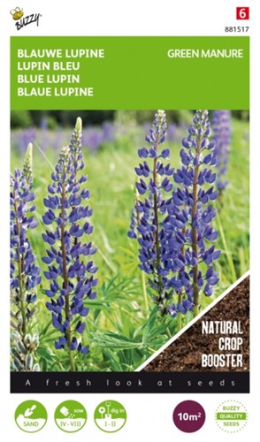 Lupino Blu per Concimazione Verde / 100gr -10 m2