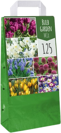 Bulbi da Fiore da giardino 125