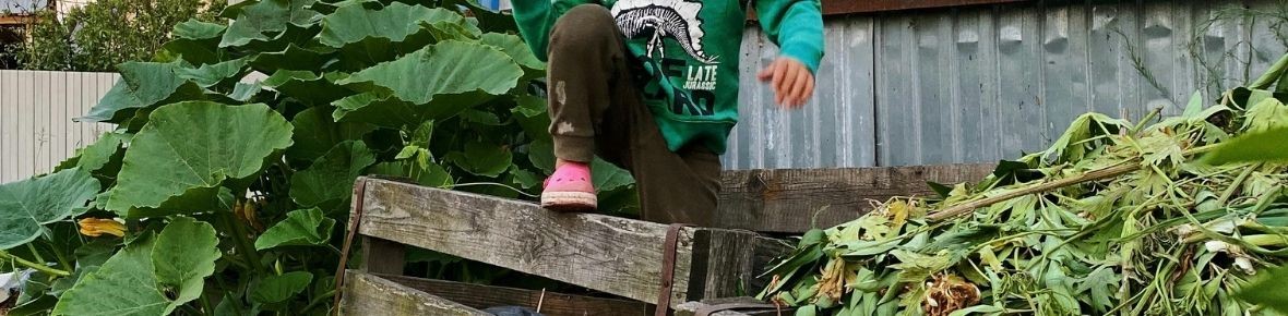 Lavori in giardino a febbraio con Modeste Herwig – potare con calma e preparare la primavera in arrivo