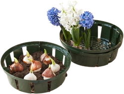 Bollenplantmand 26 cm - Nature