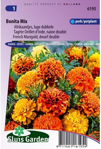 Tagetes Bonita Mix