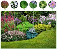 Borderpakket Schaduwtuin (12 planten: 2m2)