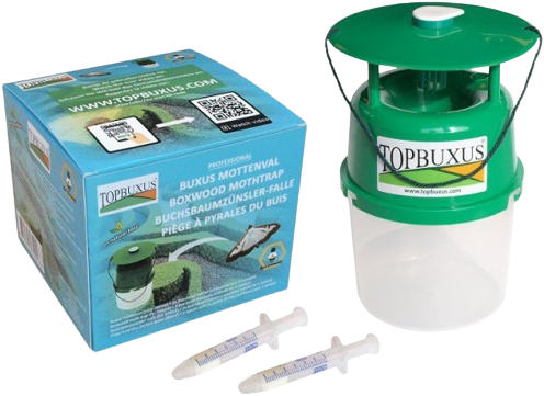 Trappola per Piralide del Bosso - Topbuxus