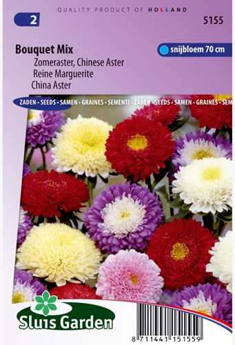 Aster Bouquet Mix