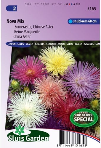 Aster Nova Mix – Callistephus chinensis
