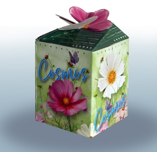 Cosmos Mix Greengift - Cosmea