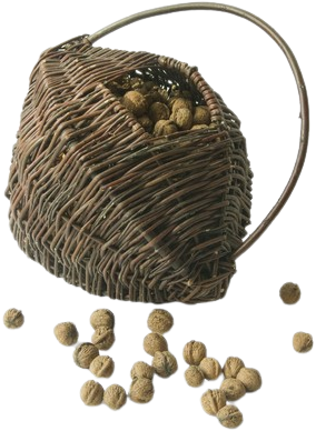 Cestino per noci