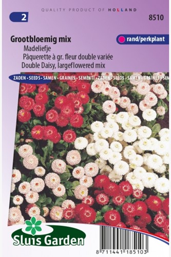 Margherita a doppio fiore mix – Bellis Perennis