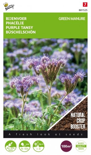Facelia per Concimazione Verde / 100gr - 100 m2