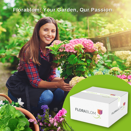 Personalizza I Semi Misti Di Fiori Con Seedlopebee In Busta - Foto 3