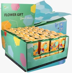 Buzzy flower gift (Display 48x) Flower Mix - Miscela per insetti